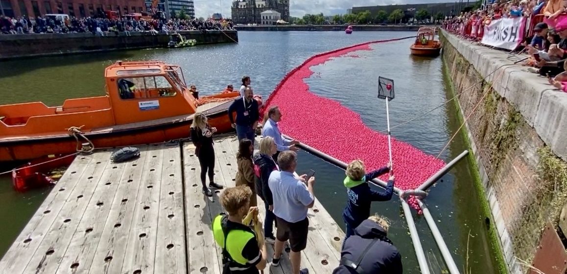 Pink Duck Race in het Antwerpse Bonapartedok